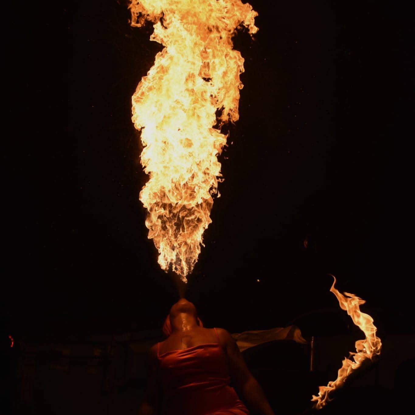 Willow Nightfire